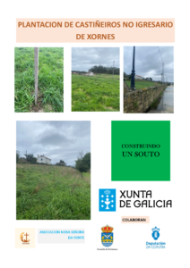 construindo un souto en xornes